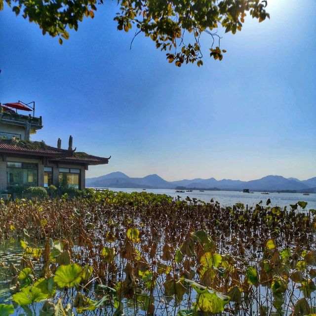 Walk around beautiful Westlake Hangzhou 