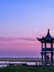 Qixing River Wetland National Nature Reserve