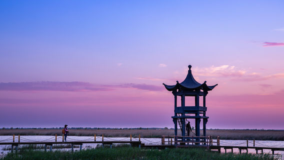 Baoqing Wetland Park
