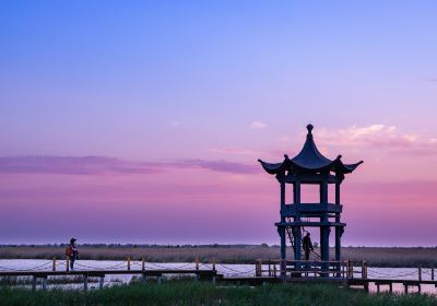 Qixing River Wetland National Nature Reserve