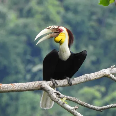 Hornbill Valley of China周辺のホテル