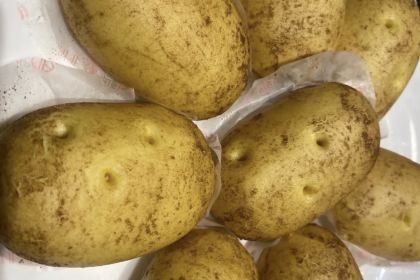 迎客松·仙魚莊(广元店)