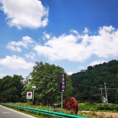 云里安凹本味餐厅 User Photo
