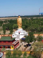 釋尼召沙漠綠海樂園