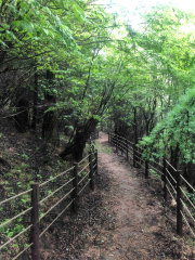 神池國家登山步道