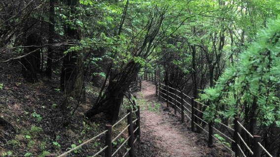 Shenchi National Mountaineering Footpath