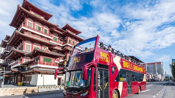 빅버스 싱가포르 (홉온홉오프 투어)