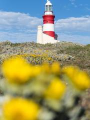 Cape Agulhas Lighthouse