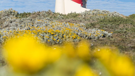 Cape Agulhas Lighthouse