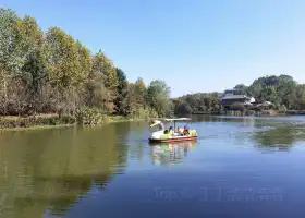 Парк водно-болотных угодий в Шэньчжэнь