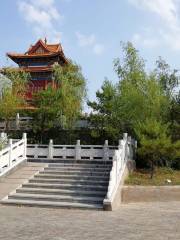 선룽산 삼림공원 센터광장
