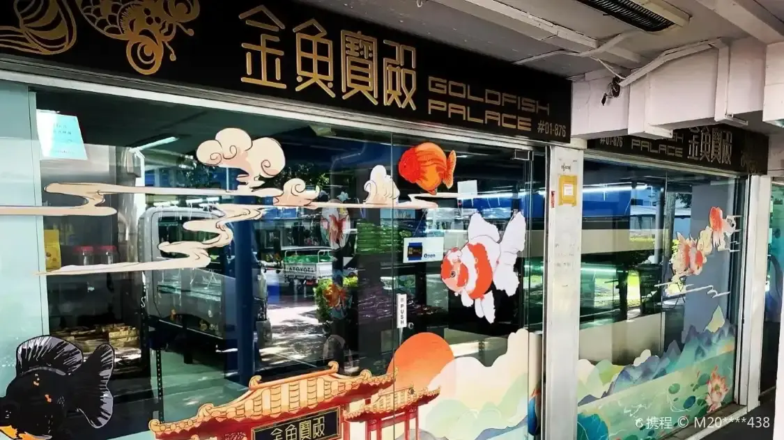 Hotels near Goldfish Treasures