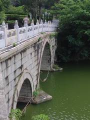 Three-hole Bridge