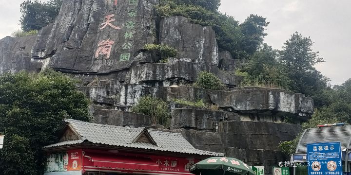 Yangtiangang Forest Park