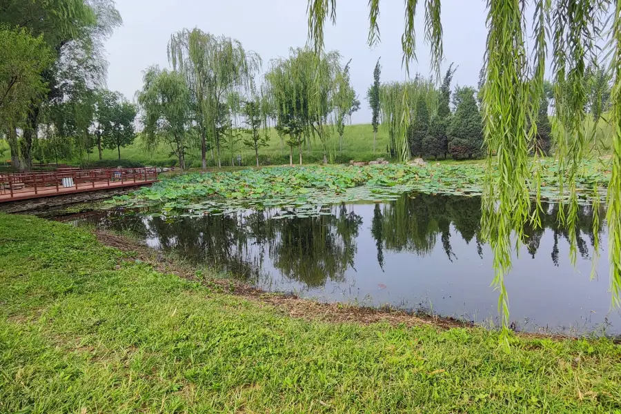 North District of Wenyu Riverside Forest Park