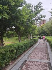 南湿地公園