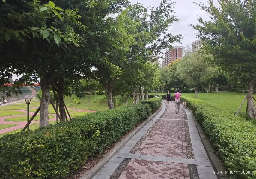 Tongnan Wetland Park