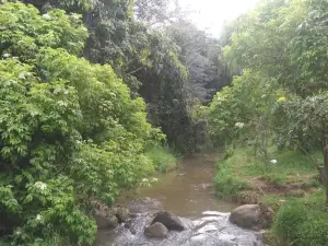 La Calera Main Park