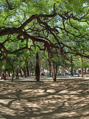 Juegos Recreativos y Deportivos Plaza Alvarado