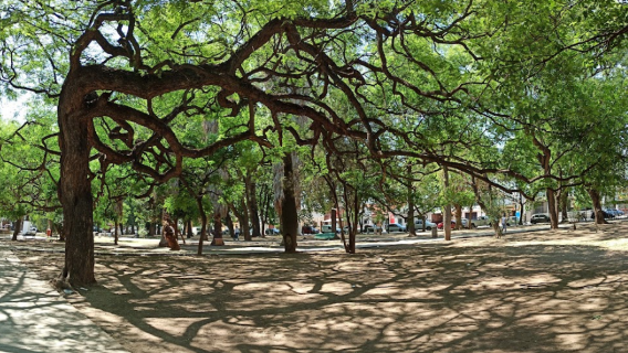 Juegos Recreativos y Deportivos Plaza Alvarado