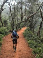 The Lobamba Trail