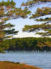 Nasketucket Bay State Reservation