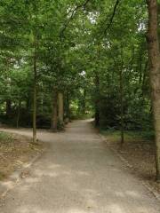 Parc des Hautes Ourmes