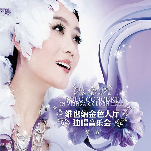 【청두】谭晶 콘서트 | feng huang shan ti yu gong yuan - zong he ti yu guan