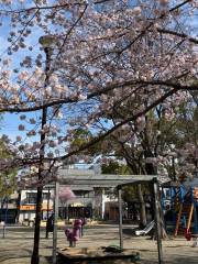 小平市東部公園プール