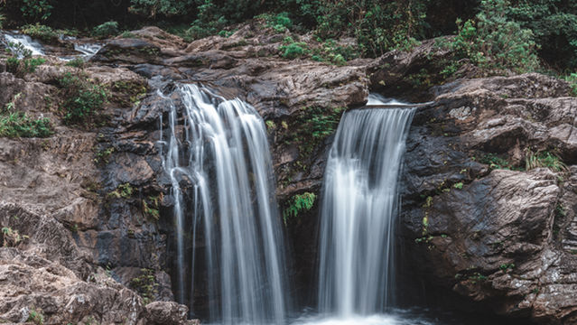 Hainan Tropical Rainforest National Park