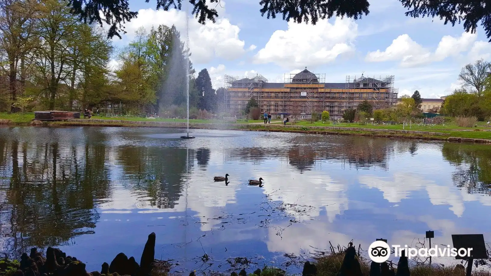 Hoteles cerca de Jardín Botánico de la Universidad de Bonn