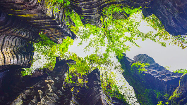 Nine-dragion Confluence Scenic Spot