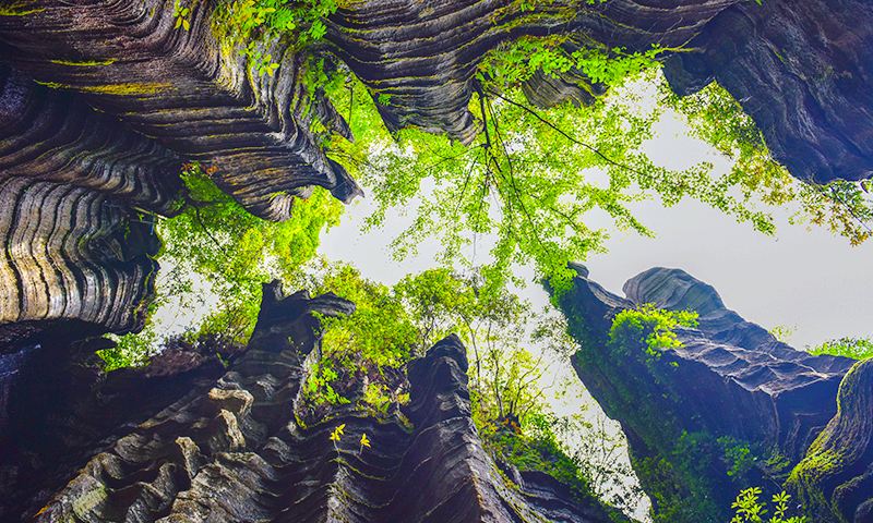 Suobuya Scenic Area - Jiulonghui Scenic Spot
