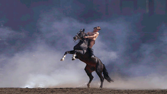 Xinjiang Khan Blood Horse Base