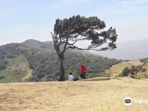 Ngong Hills Forest Reserve