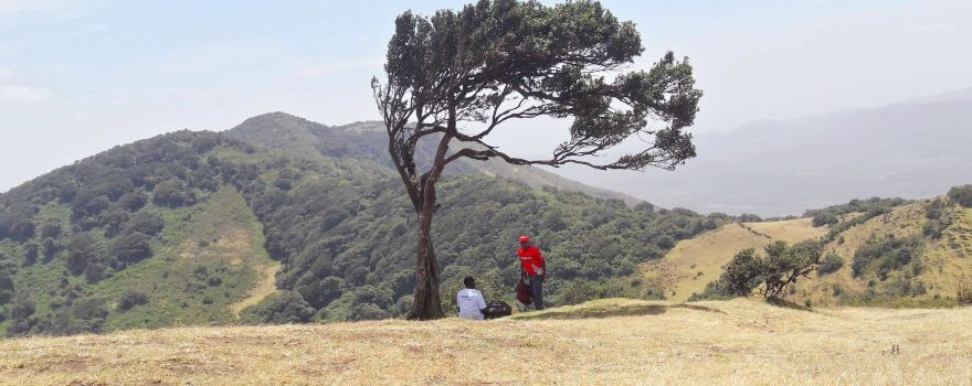 Ngong Hills Forest Reserve