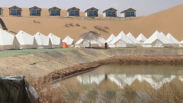 Star Hometown Desert Stargazing Campground