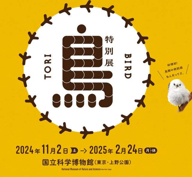 日本國立科學博物館特別展《鳥》 | 國立科學博物館