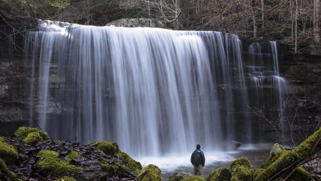 Savage Gulf State Natural Area