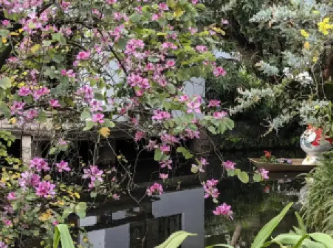 Canton Orchid Garden