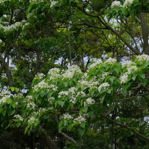 好客公園