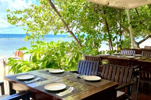 Sabienglae lamai