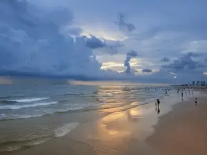 맹그로브 숲 해산물 채집 체험