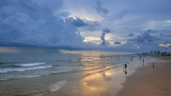 Mangrove Daily Tidal Flat Experience