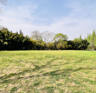 cai shi ji fang cao di