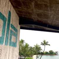 Ola Beach Club