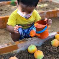 《小農夫後花園種植場》