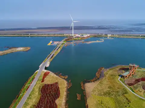 鄰近黃金海灘的酒店