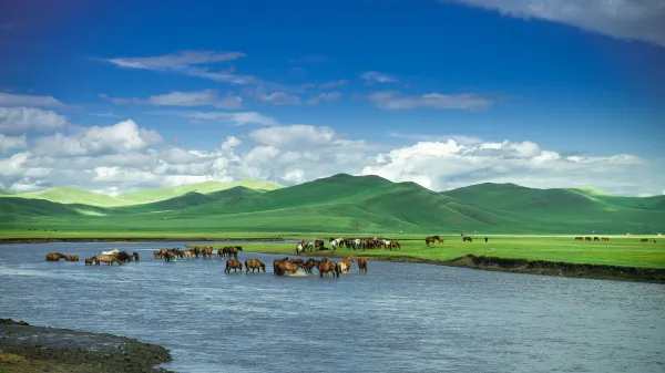 Yellow River Wetland Landscape Area周辺のホテル