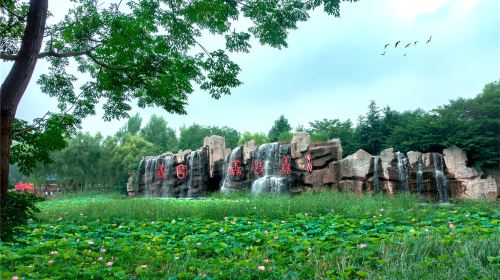 Weishan Wetland Park